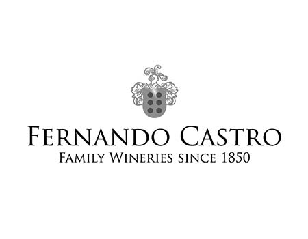 logo fernando castro